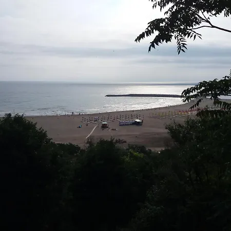 Soleta *
